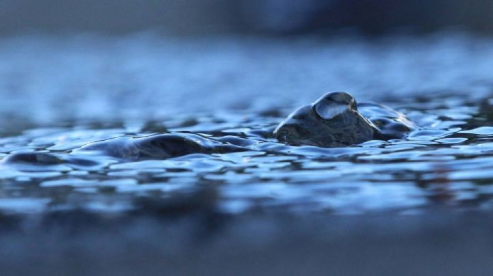 Se registra megafuga de agua en Azcapotzalco tras maniobras de trabajadores de la CFE