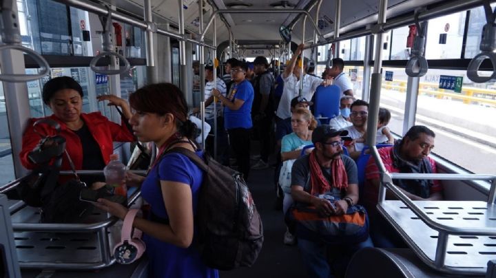 Querétaro pone en marcha el Qrobús Pet Friendly: así será el transporte público