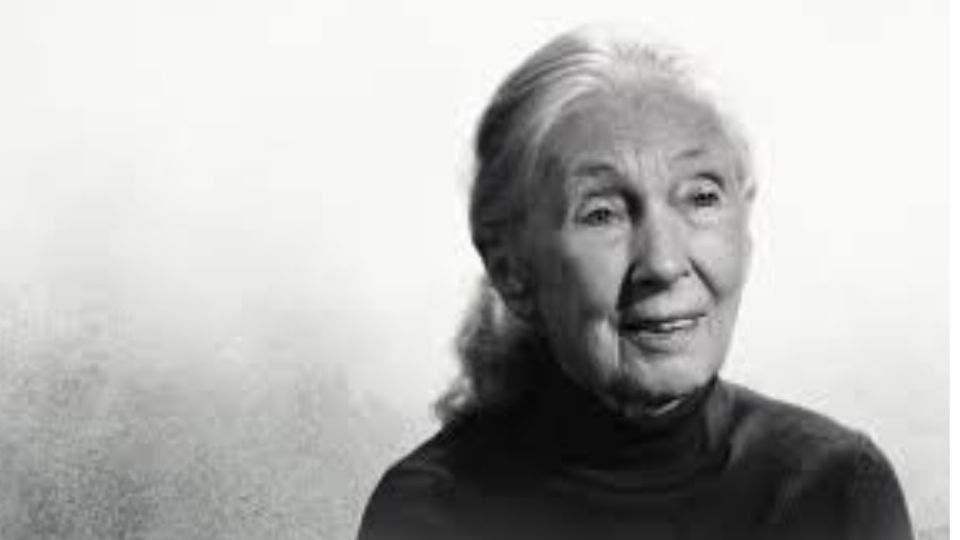 Sus últimas palabras contra Trump