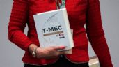 Foto ilustrativa de la nota titulada: T-MEC: EU acusa a México de incumplir en Energía, Telecomunicaciones y Agricultura