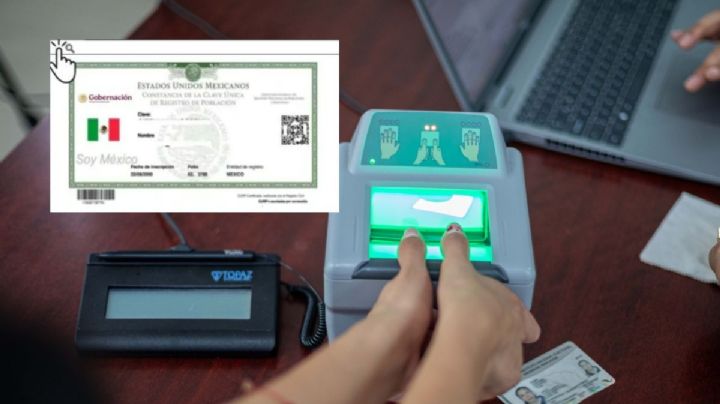 Así puedes agendar una cita para tramitar tu CURP biométrica en Xalapa