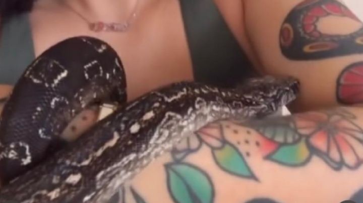 Confirmado: el asesino era un traficante de serpientes