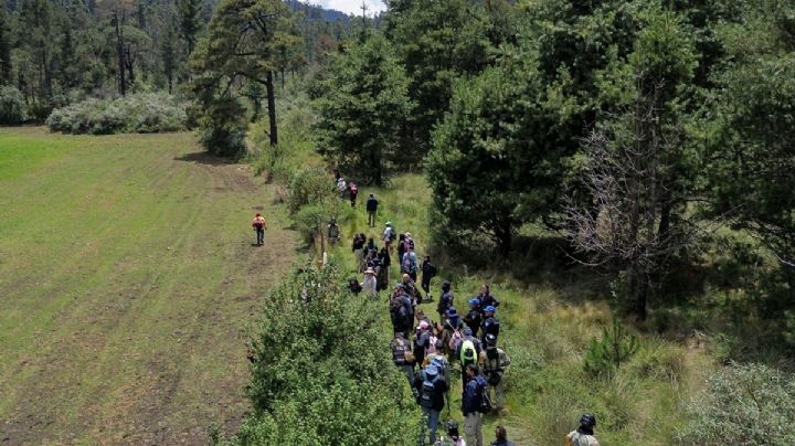 En Tlalpan han desaparecido 114 personas en 2025; aumentan los casos en el Ajusco