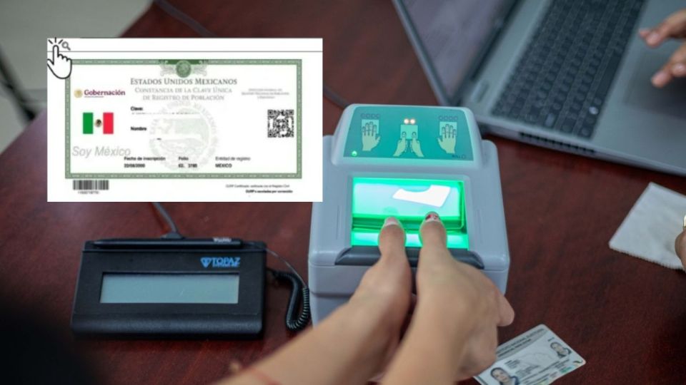 Así puedes sacar una cita para tramitar tu CURP biométrica en Xalapa