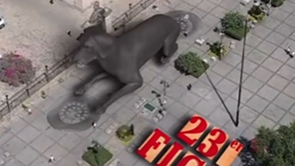 Que conforman la edición 2025 del Festival de Morelia