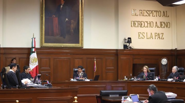 Proyecto de la SCJN sobre amparo ambiental podría limitar el interés legítimo de ciudadanos y colectivos: Artículo 19