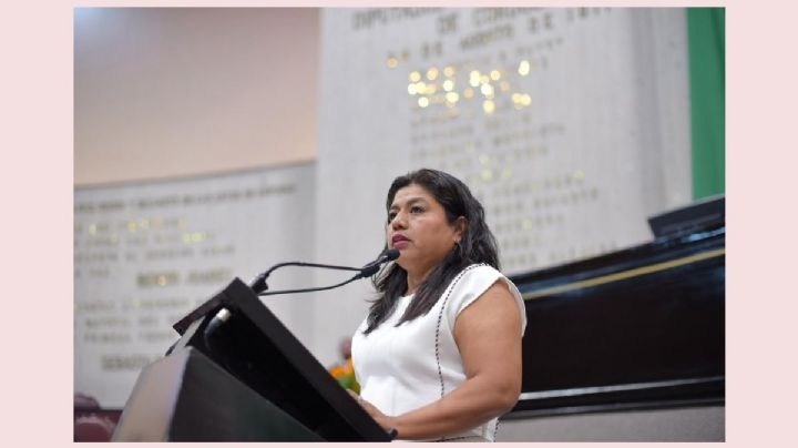 Ante desastres naturales, unidad, empatía y cooperación, llama diputada