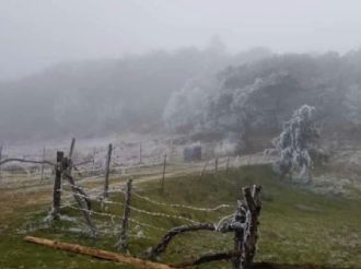 Así se ve Guanajuato con las heladas de este frente frío número 13