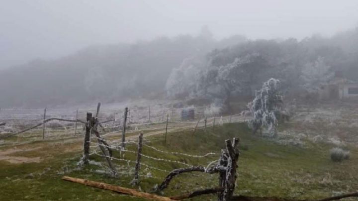 Así se ve Guanajuato con las heladas de este frente frío número 13