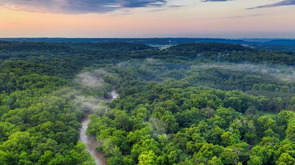 Los 5 países que concentran la mitad de los bosques del mundo