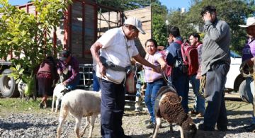 Siguen en busca de terrenos para reubicar a damnificados de Hidalgo