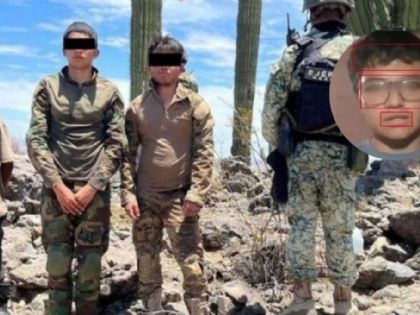 El sicario desechable