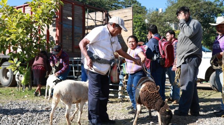Siguen en busca de terrenos para reubicar a damnificados de Hidalgo