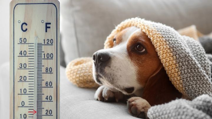 Bajas temperaturas por nuevo frente frío; así el clima este jueves 13 de noviembre