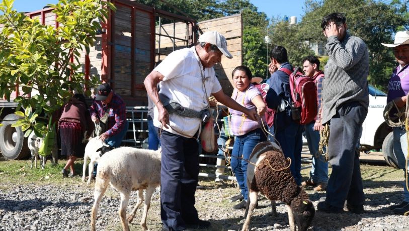 Siguen en busca de terrenos para reubicar a damnificados