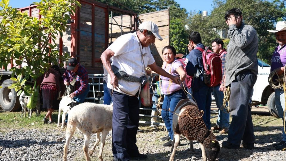 El gobernador adelantó se buscan los terrenos para reubicar a los damnificados