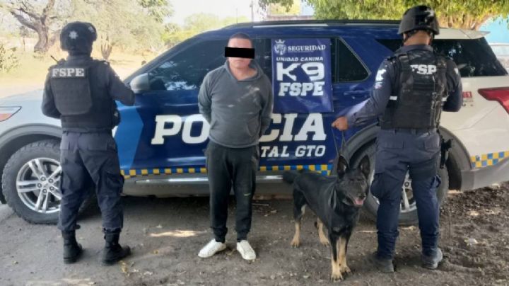 Perro policía detiene a traficante con 1,000 dosis de drogas, en León
