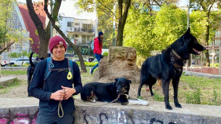 Paseadores de perros ganan hasta 25 mil mensuales; más del doble que un profesionista