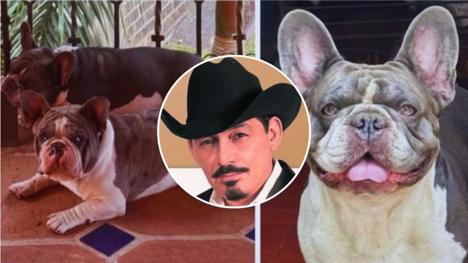 Fundamental de su vida y teme por su bienestar