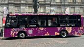 Foto ilustrativa de la nota titulada: ¿Qué significa Taruk? el primer autobús eléctrico 100% mexicano
