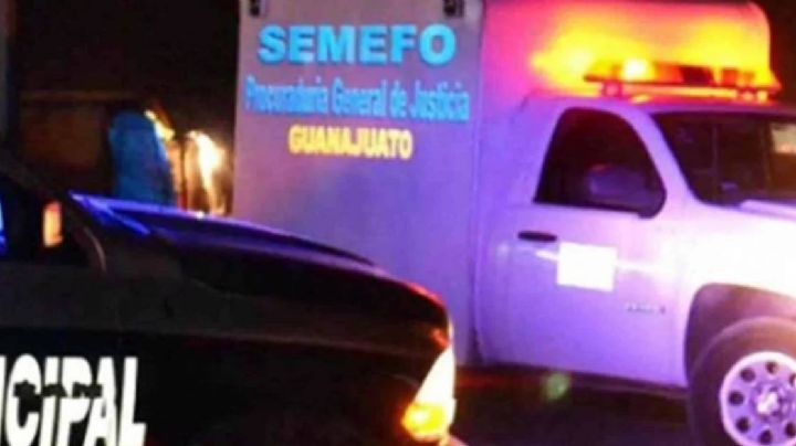 Lo hallan sin vida en su casa, sus perros lo devoraban, en León