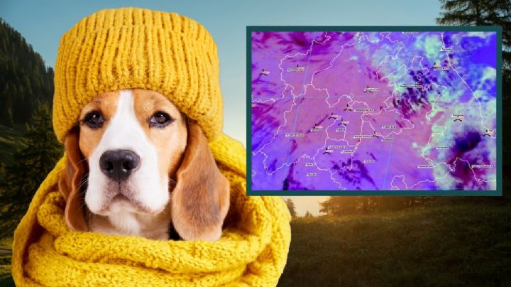 Ingresa frente frío 14 con descenso de temperaturas; así el clima este sábado 15 de noviembre