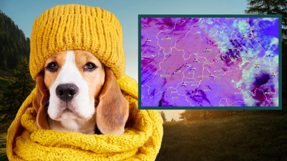 Hidalgo registra neblinas, bajas temperaturas y frío