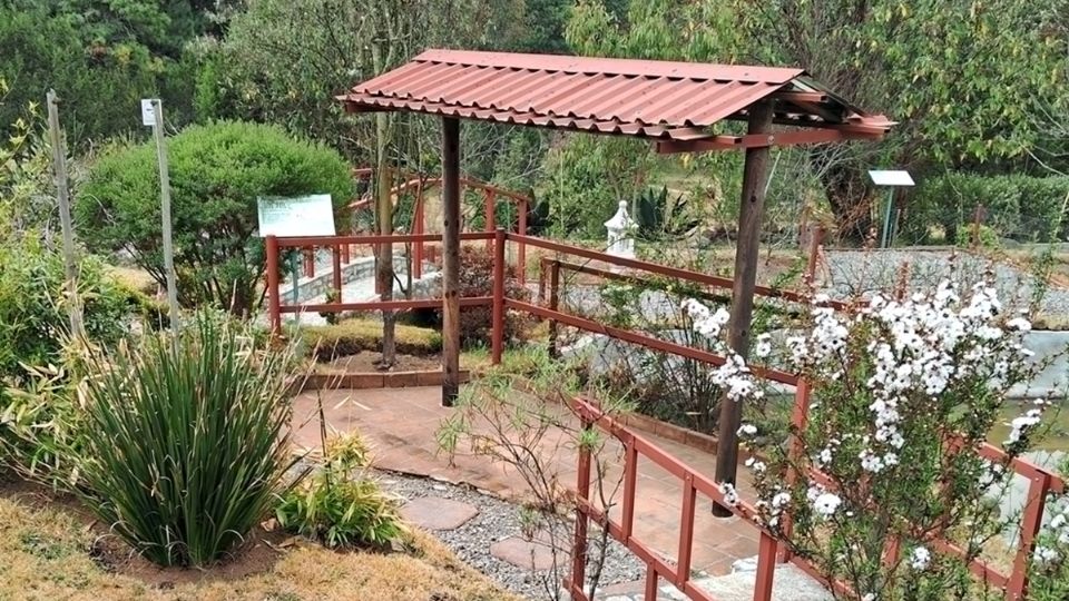 Se trata de un parque que tiene un pedacito de Japón en pleno Real del Monte