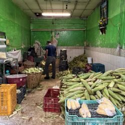 El maíz encarece la mesa: suben elotes y tortillas en León