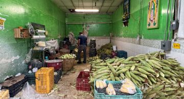 El maíz encarece la mesa: suben elotes y tortillas en León