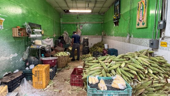 El maíz encarece la mesa: suben elotes y tortillas en León