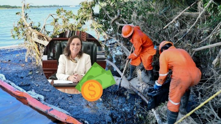 El nuevo impuesto ecológico en Veracruz para 2026: claves y polémica del nuevo gravamen