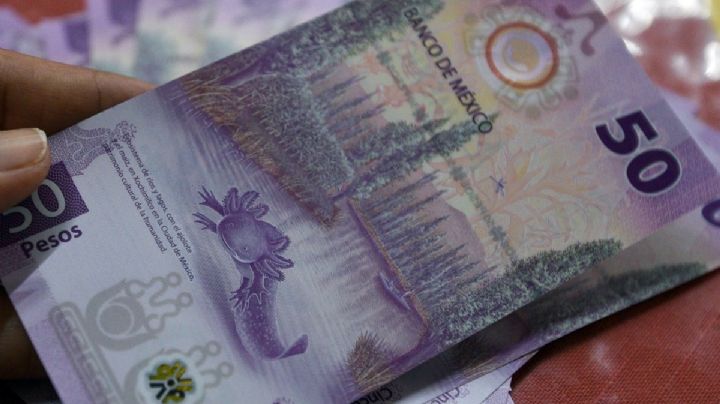 Billete de 50 pesos, ¿vale más fuera de circulación que en la cartera?