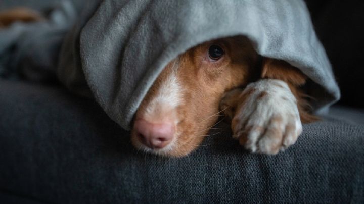 Frente frío 15: así el clima este martes 18 de noviembre en Hidalgo