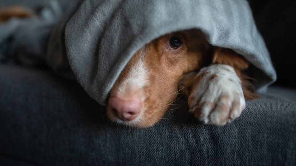 Se mantienen las temperaturas bajas al amanecer y calor por la tarde
