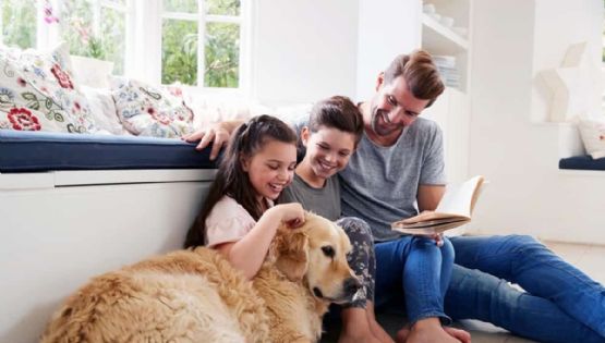 ¿Te dijeron “no se aceptan mascotas”? La nueva ley en CDMX podría cambiarlo todo