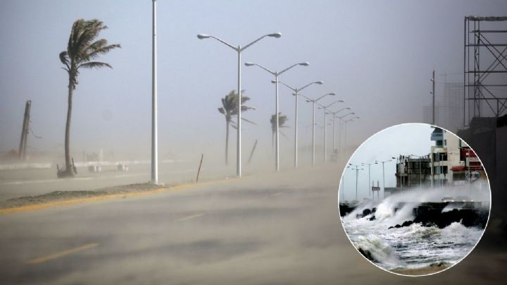 Posible Norte entraría a Veracruz a partir de este día de noviembre