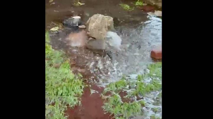 Reportan fuga de agua en camellón de la alcaldía Iztapalapa