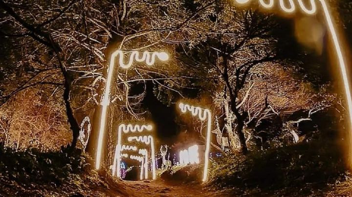 Regresa el Bosque Iluminado a minutos de Pachuca con nuevas atracciones; costos y horarios