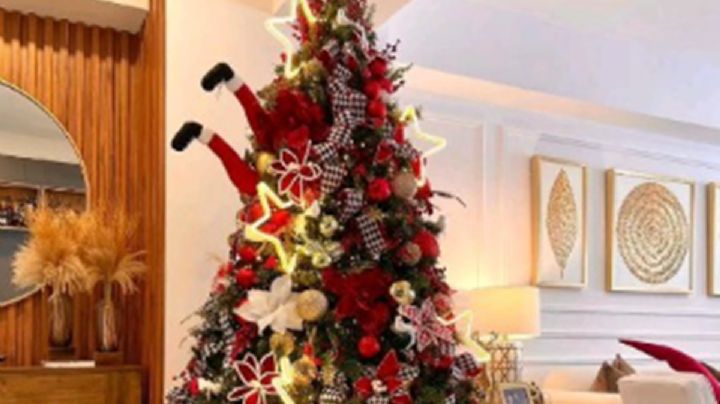 ¿Cuándo debe colocarse el árbol de Navidad? La fecha tradicional y su significado