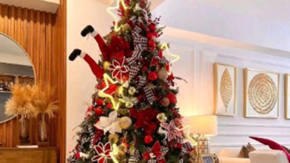 Que el árbol e conviertan en símbolos de unión y esperanza para el hogar