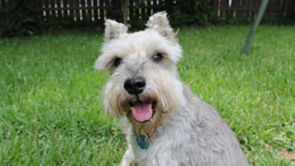 Que prácticamente no muda