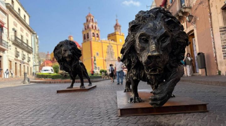 ¿Qué hacen unos leones de bronce en la ciudad de Guanajuato?