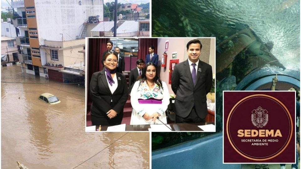 Sedema detalla acciones tras inundaciones y situación del Acuario ante el Congreso de Veracruz