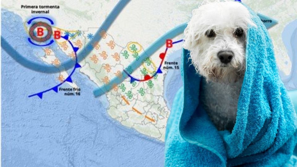 Consulta el pronóstico para este fin de semana