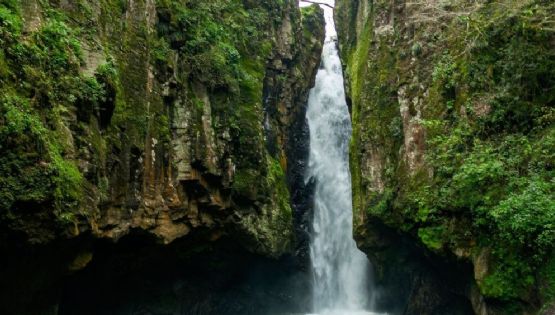Visita estos espectaculares manantiales en Hidalgo que se cubren con la neblina; esto te espera