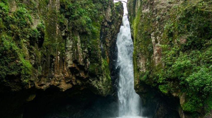 Visita estos espectaculares manantiales en Hidalgo que se cubren con la neblina; esto te espera