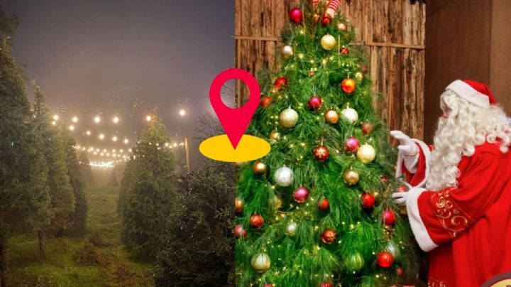 3 lugares cerca de Xalapa con actividades navideñas para toda la familia