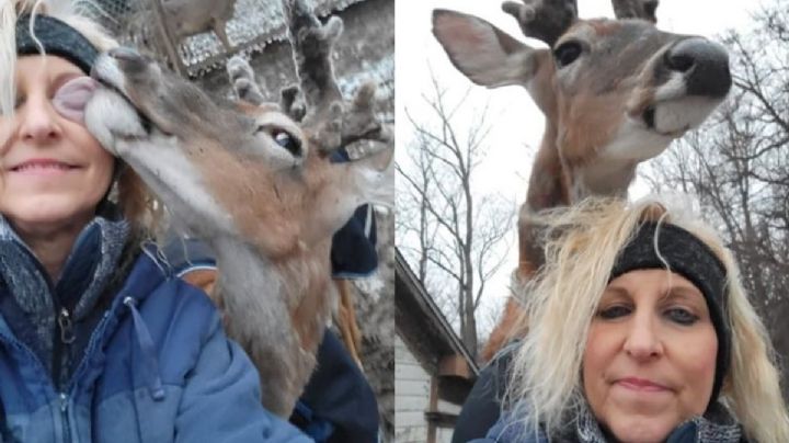 Activista salva a venado; el venado la mata