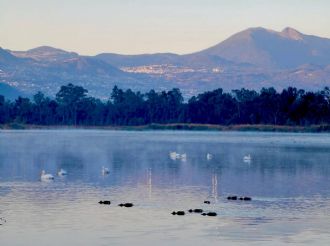EU mete presión a México para entrega de agua